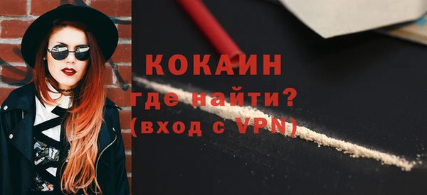 индика Абаза