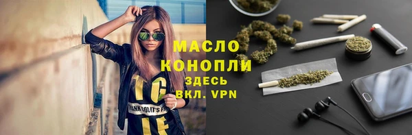 индика Абаза