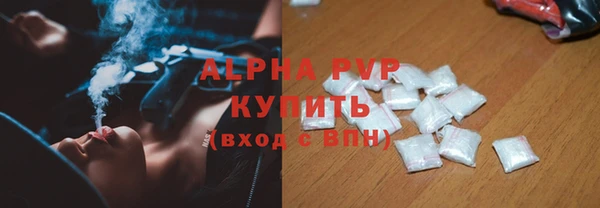 индика Абаза