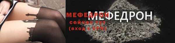 индика Абаза