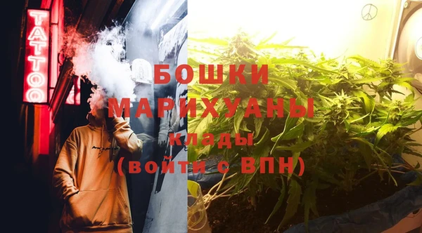 индика Абаза