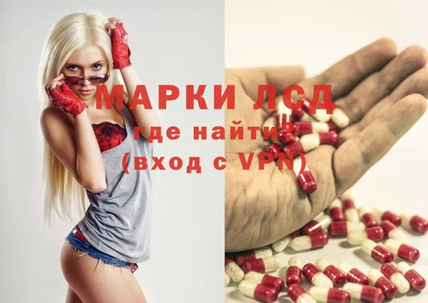 индика Абаза