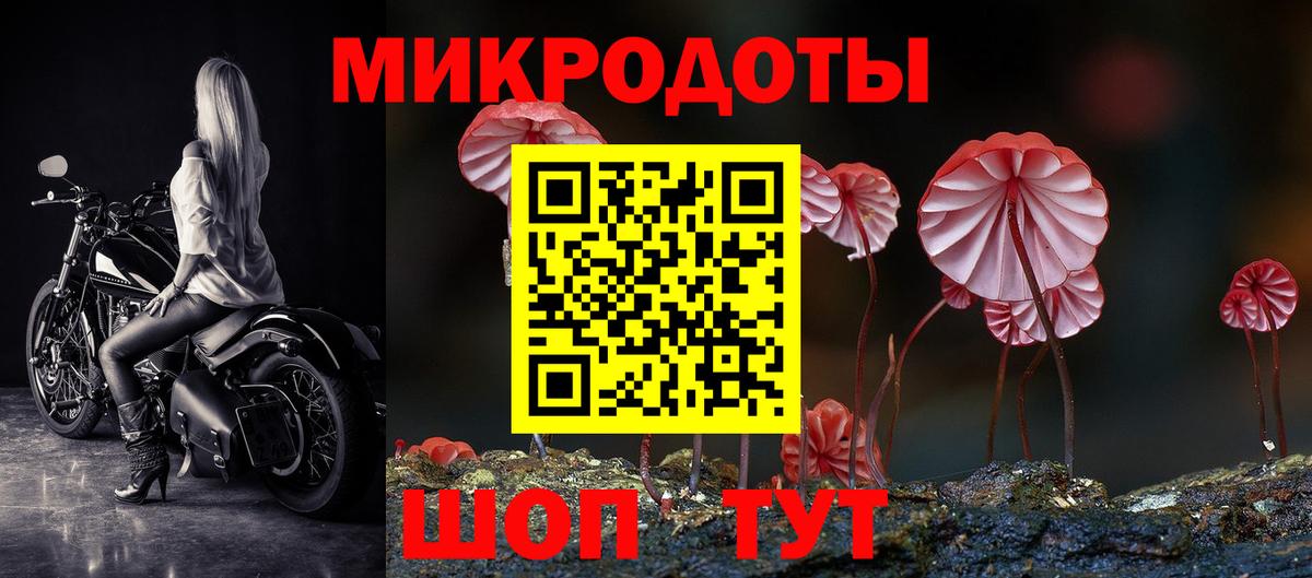 Псилоцибиновые грибы GOLDEN TEACHER Сертолово