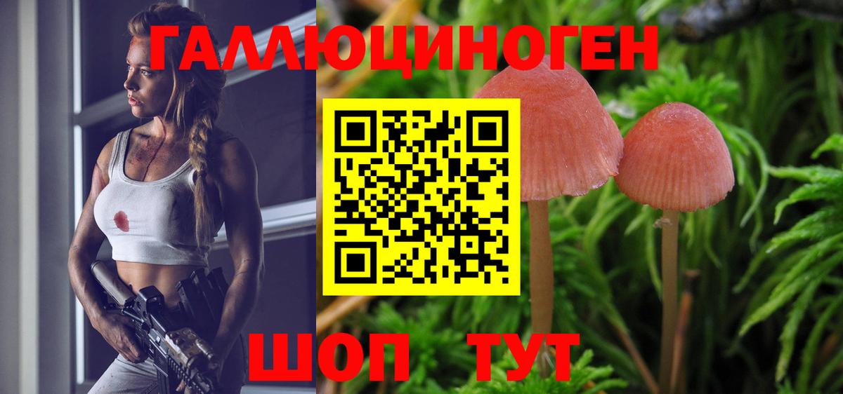 Псилоцибиновые грибы Cubensis  Вход с VPN  Галлюциногенные грибы Psilocybe  Сертолово 